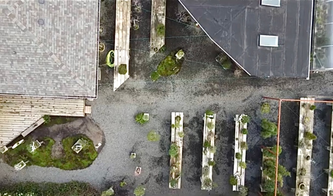The Crataegus Garden by Drone-