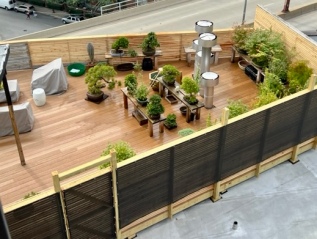 A Rooftop Bonsai Garden in the Windy City